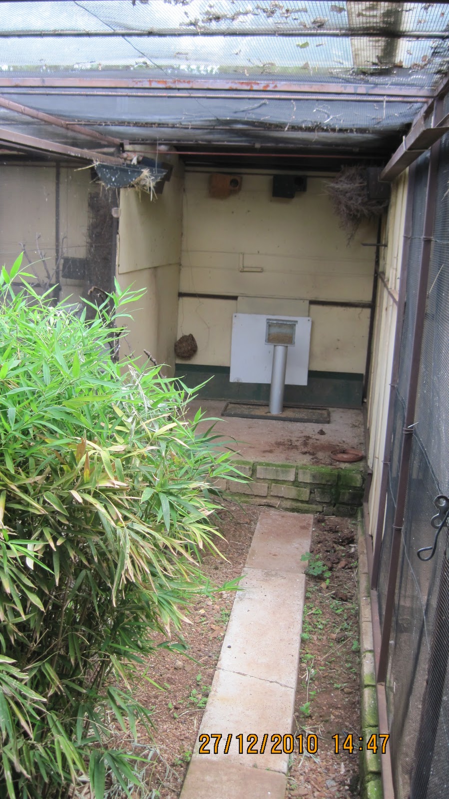 Multiple Cubicle Aviaries